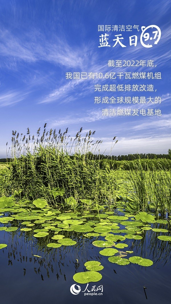 資料來源：生態(tài)環(huán)境部、人民日報