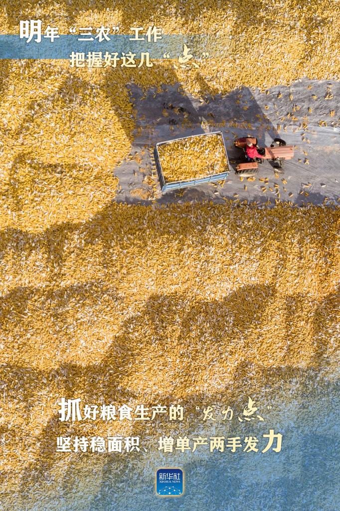 明年“三農(nóng)”工作，這幾個(gè)“點(diǎn)”要把握好