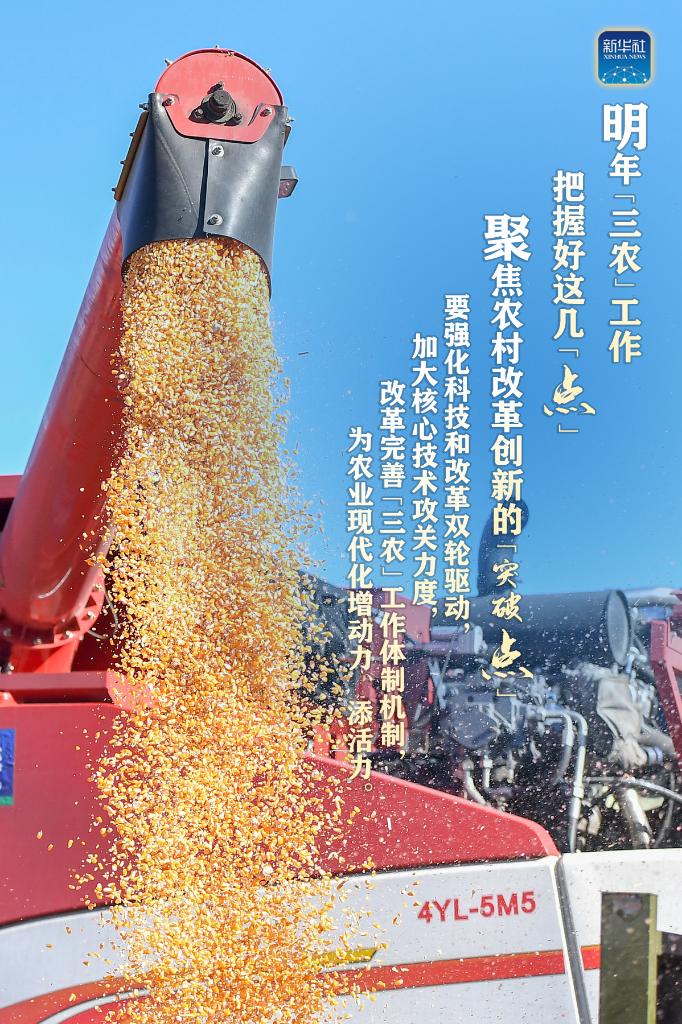 明年“三農(nóng)”工作，這幾個(gè)“點(diǎn)”要把握好