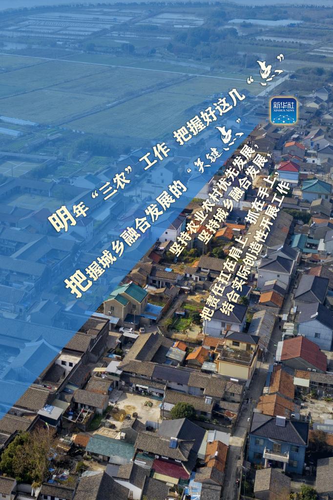 明年“三農(nóng)”工作，這幾個(gè)“點(diǎn)”要把握好