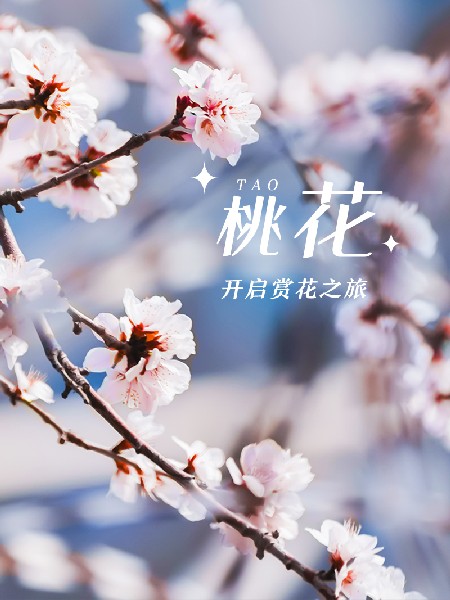 追花指南第三期！別等了 今天就去和桃花撞個滿懷