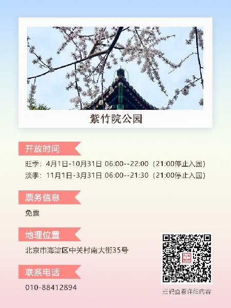 追花指南第三期！別等了 今天就去和桃花撞個滿懷