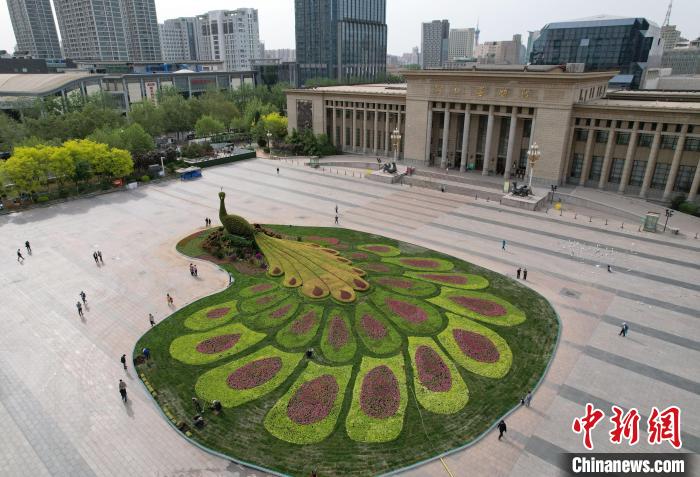 圖為航拍花壇。(無人機(jī)照片) 翟羽佳 攝