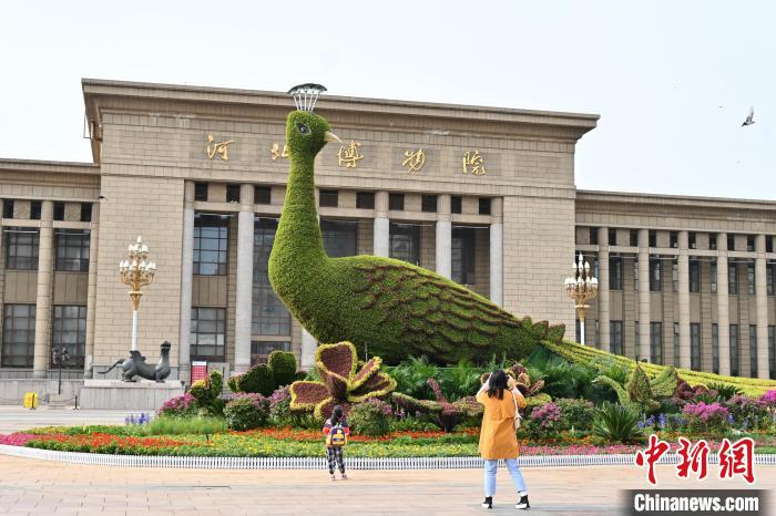 圖為游客在花壇前拍照打卡?！〉杂鸺?攝