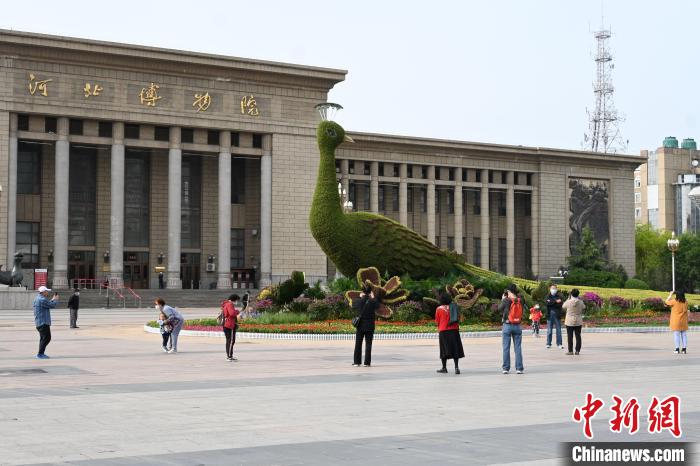 圖為游客在花壇前拍照打卡?！〉杂鸺?攝