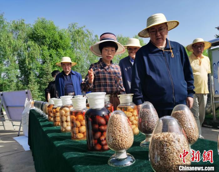 青海：利用冷涼氣候，打造高原綠色種業(yè)輸出地