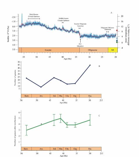 早始新世至早漸新世東亞嚙齒類屬級多樣性變化?！≈锌圃汗偶棺邓?供圖