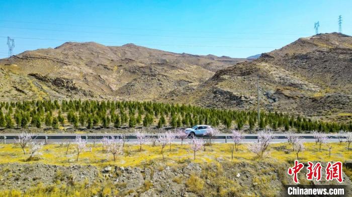 生態(tài)修復(fù)后逐漸變綠的賀蘭山石嘴山段。　石嘴山市委宣傳部供圖