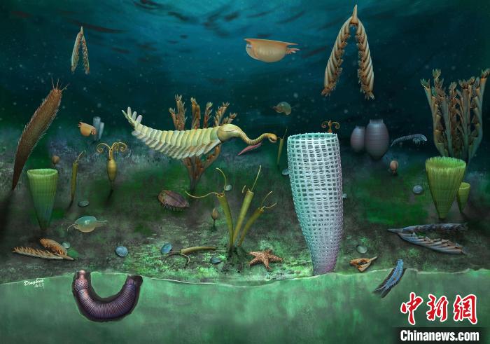 Castle Bank動(dòng)物群藝術(shù)復(fù)原圖(Yang Dinghua繪制)?！∈┢樟指瘛ぷ匀?供圖