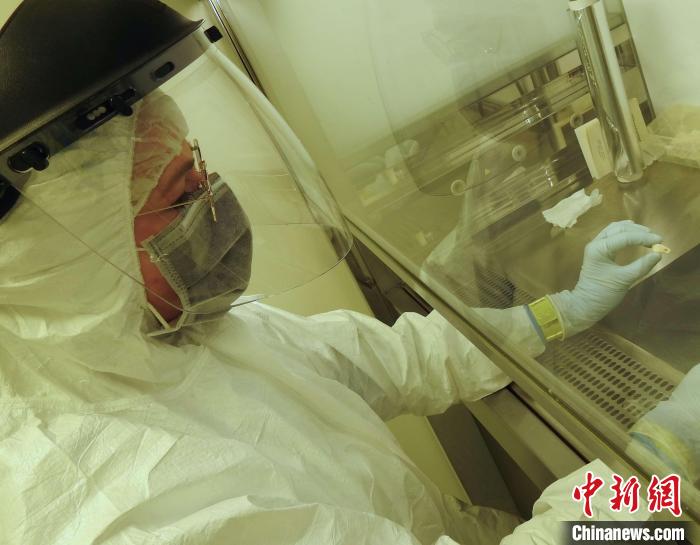 Elena Essel在凈室中處理鹿牙墜飾(圖片來自馬克斯·普朗克演化人類學研究所)。　施普林格·自然 供圖