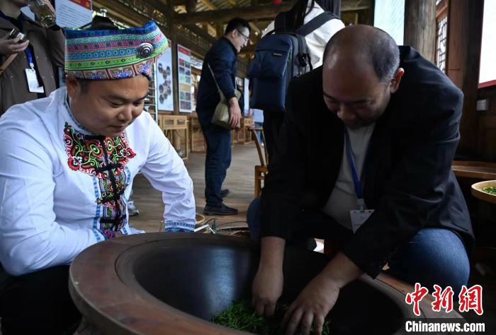 東盟國(guó)家媒體記者了解制茶工藝?！堊?攝