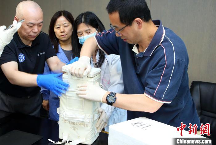 科研人員查看隨神舟十五號返回地面的空間科學實驗樣品?！≈锌圃嚎臻g應用中心 供圖