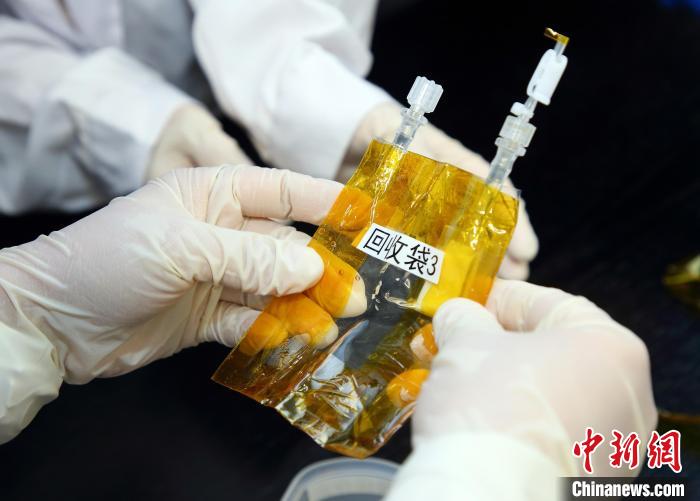 隨神舟十五號返回地面的空間科學實驗樣品?！≈锌圃嚎臻g應用中心 供圖