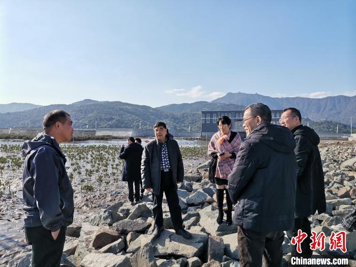 浙江海洋生態(tài)觀察：智慧大腦如何解鎖藍(lán)色發(fā)展密碼？