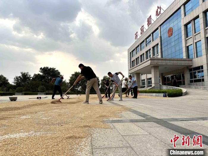 平原縣組織志愿者幫助農(nóng)民晾曬小麥?！垈?攝