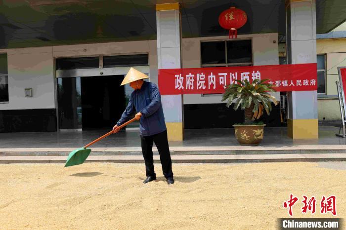 村民在棗莊市嶧城區(qū)古邵鎮(zhèn)政府大院內(nèi)晾曬糧食?！『?　攝