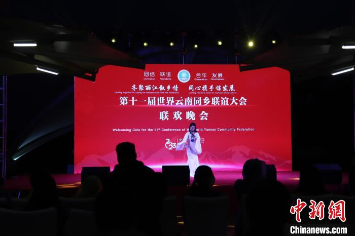 圖為第十一屆世界云南同鄉(xiāng)聯(lián)誼大會舉辦聯(lián)歡晚會。　崔永江 攝