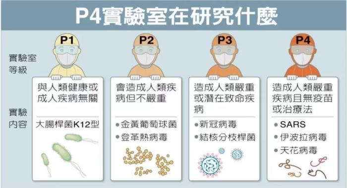 P4實驗室在研究什么。臺灣聯(lián)合新聞網(wǎng)資料圖