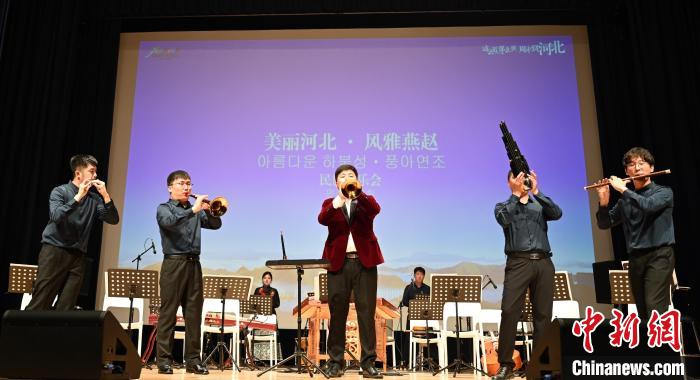 圖為音樂(lè)會(huì)現(xiàn)場(chǎng)?！∈谞栔袊?guó)文化中心供圖