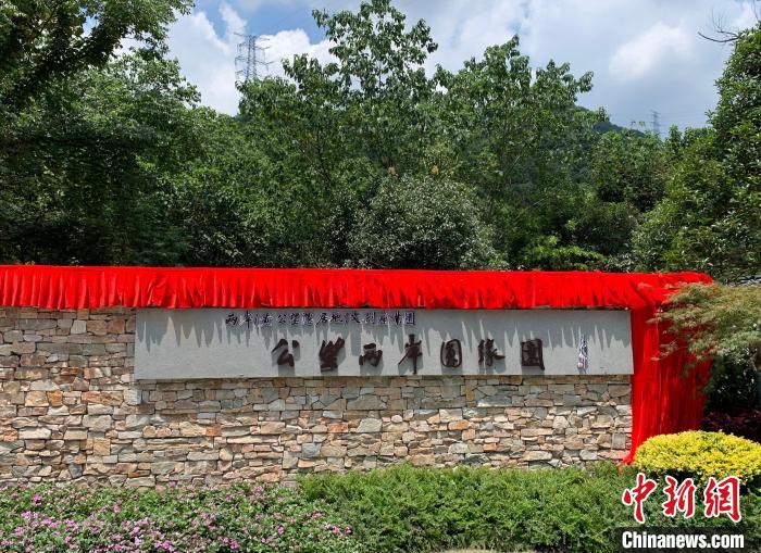 “公望兩岸圓緣園”開園?！」溻?攝