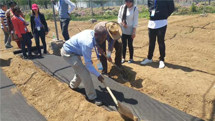 孫釗現(xiàn)場指導(dǎo)農(nóng)民耕種。受訪者供圖