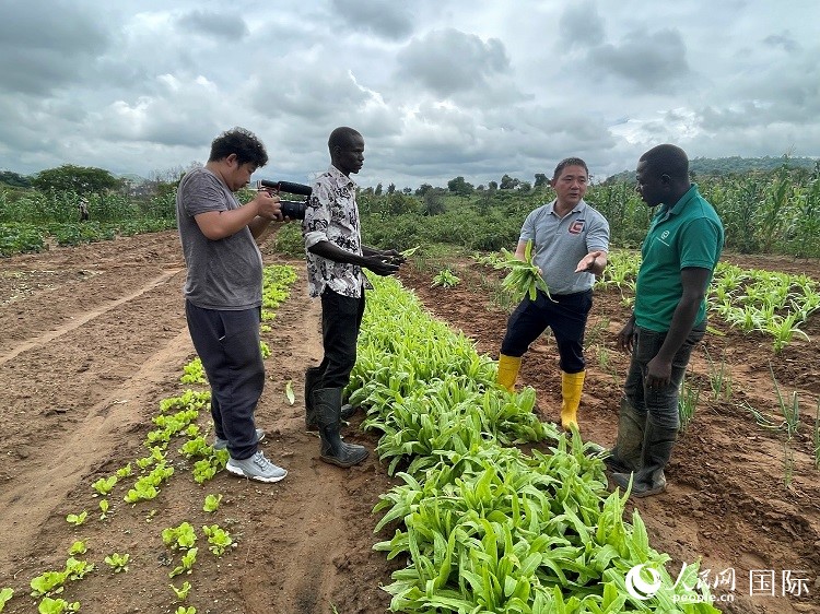 人民網(wǎng)記者走進尼日利亞農(nóng)業(yè)技術(shù)示范中心。人民網(wǎng)記者 趙艷紅攝