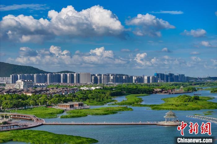 資料圖：航拍蘇州太湖湖濱國家濕地公園，藍(lán)天碧水生態(tài)美。 泱波 攝