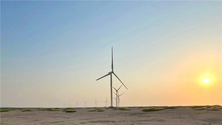 圖為阿聯(lián)酋風(fēng)電示范項(xiàng)目在阿布扎比薩爾巴尼亞斯島上的風(fēng)電場(chǎng)。 中國(guó)電建供圖