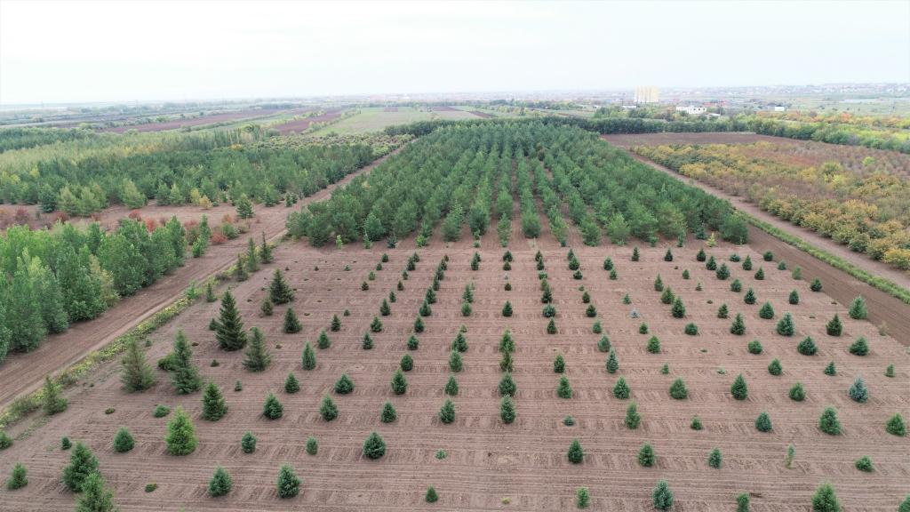 這是2023年9月11日在哈薩克斯坦首都阿斯塔納拍攝的一處植物種質(zhì)資源苗圃（無人機照片）。新華社發(fā)（法爾哈特·圖克諾夫 攝）