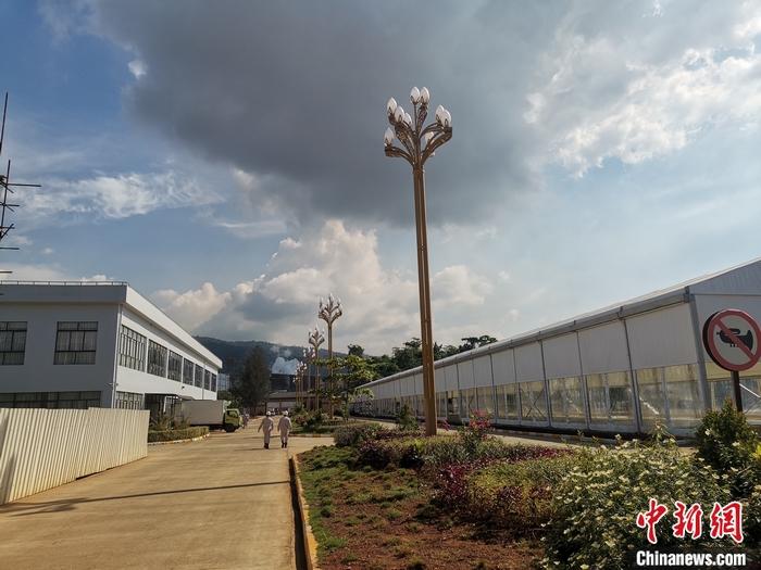 圖為園區(qū)生活區(qū)。 受訪者供圖