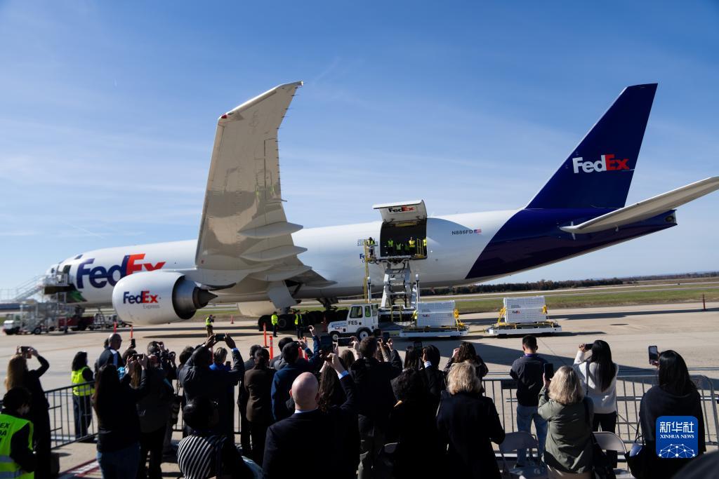 11月8日，在美國弗吉尼亞州的華盛頓杜勒斯國際機場，裝有大熊貓的特制“旅行包廂”準(zhǔn)備運上專機。新華社記者劉杰攝