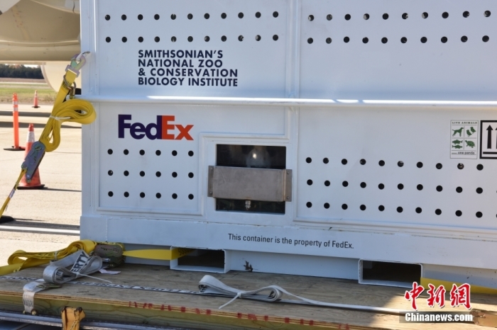 當(dāng)?shù)貢r間11月8日，美國華盛頓史密森學(xué)會國家動物園的大熊貓“美香”“添添”和它們的幼崽“小奇跡”乘坐的專機(jī)從華盛頓杜勒斯國際機(jī)場起飛前往中國成都。圖為裝有大熊貓的特制“旅行箱”。<a target='_blank' href='/'><p  align=