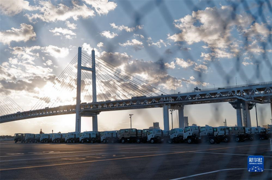 這是11月14日在日本橫濱拍攝的進(jìn)出口汽車集散場地。新華社記者 張笑宇 攝