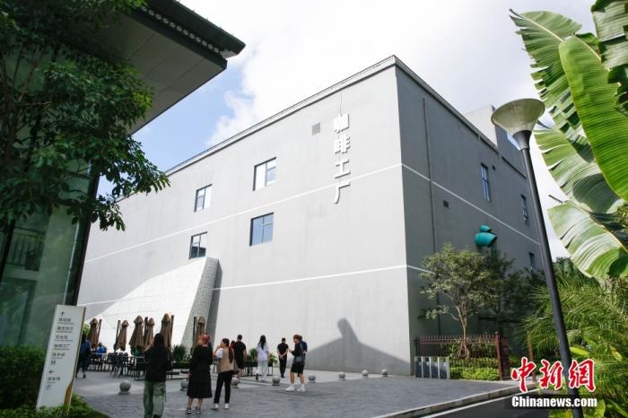 圖為采訪團(tuán)一行參觀咖啡工廠。 曹淼欣 攝