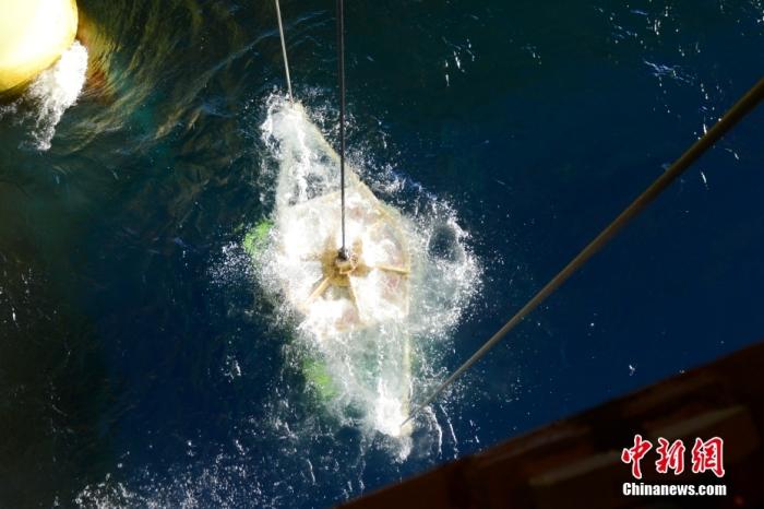 機器人入水瞬間。<a target='_blank' href='/' _fcksavedurl='/' ><p  align=