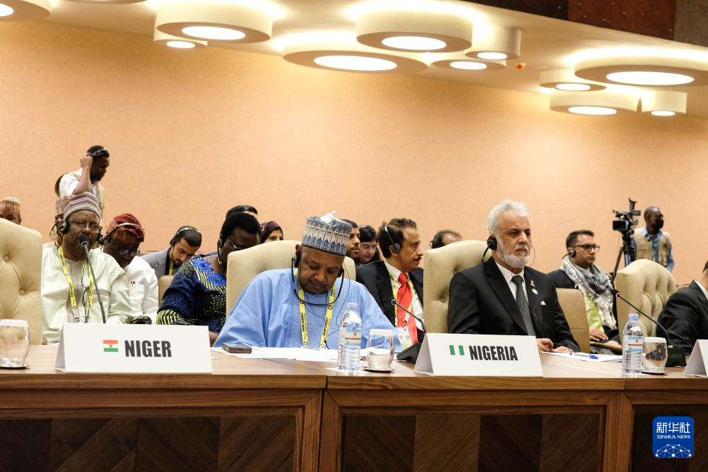 1月20日，與會代表出席在烏干達首都坎帕拉舉行的不結盟運動第19次峰會閉幕式。新華社發(fā)（阿佳拉·納瓦達攝）