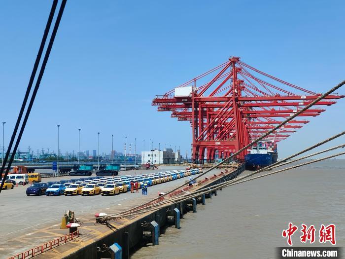 資料圖：國(guó)產(chǎn)新能源車在上海外高橋港區(qū)海通碼頭“整裝待發(fā)”?！∑址?攝