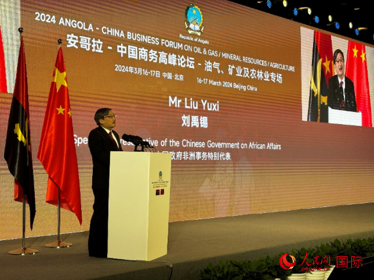 中國政府非洲事務(wù)特別代表劉禹錫。人民網(wǎng)記者 張榮攝
