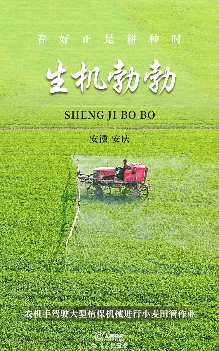 生機(jī)盎然！用課本封面打開春耕畫卷