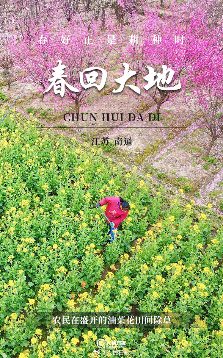 生機(jī)盎然！用課本封面打開春耕畫卷