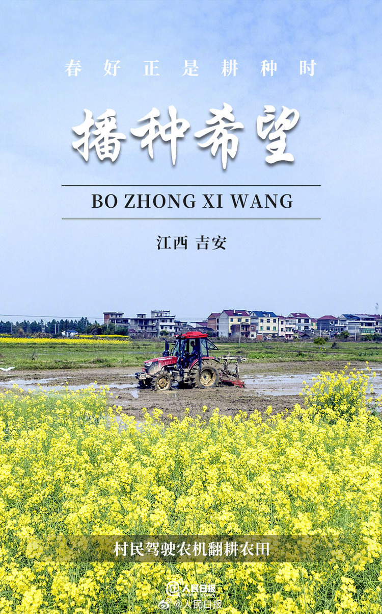 生機(jī)盎然！用課本封面打開春耕畫卷