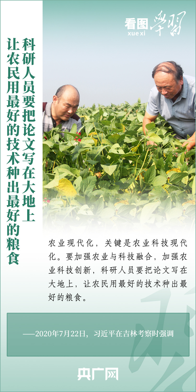 看圖學(xué)習(xí)丨推廣良田、良種、良法、良機 給農(nóng)業(yè)現(xiàn)代化插上科技的翅膀