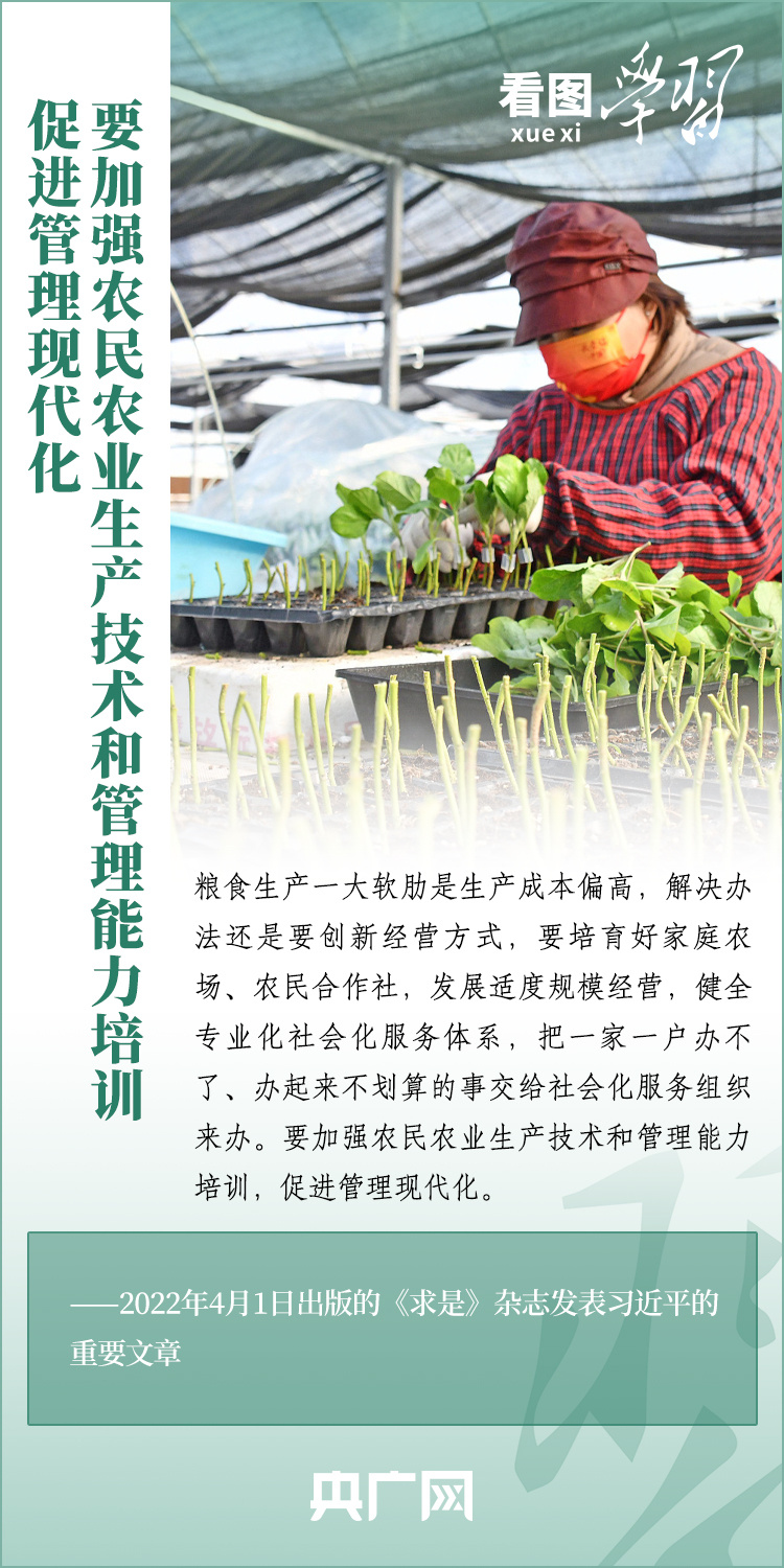 看圖學(xué)習(xí)丨推廣良田、良種、良法、良機 給農(nóng)業(yè)現(xiàn)代化插上科技的翅膀