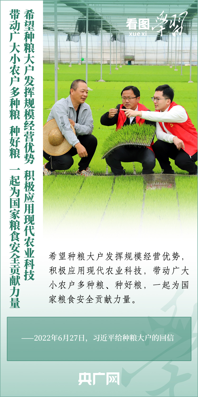 看圖學(xué)習(xí)丨推廣良田、良種、良法、良機 給農(nóng)業(yè)現(xiàn)代化插上科技的翅膀