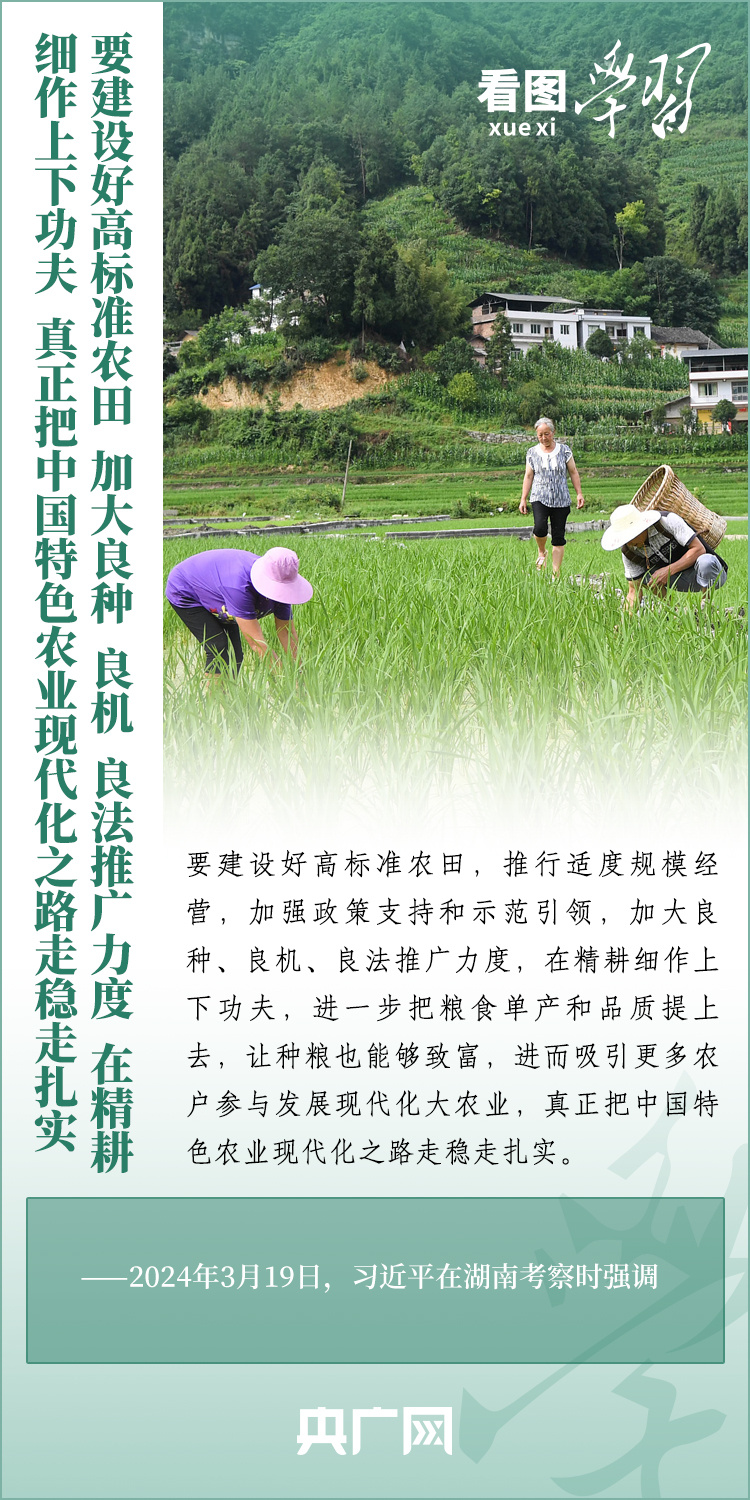 看圖學(xué)習(xí)丨推廣良田、良種、良法、良機 給農(nóng)業(yè)現(xiàn)代化插上科技的翅膀
