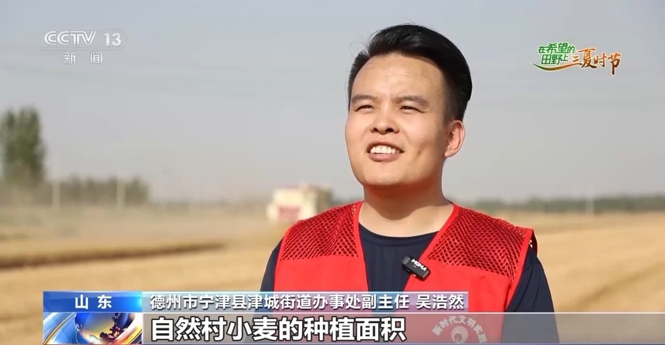 “三夏”生產(chǎn)思維導(dǎo)圖安排上了！還有政府大院等你來(lái)“曬”