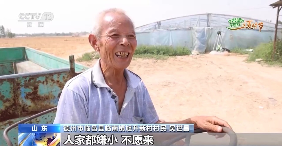 “三夏”生產(chǎn)思維導(dǎo)圖安排上了！還有政府大院等你來(lái)“曬”