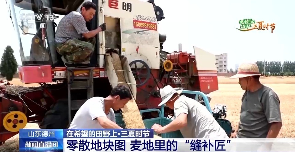 “三夏”生產(chǎn)思維導(dǎo)圖安排上了！還有政府大院等你來(lái)“曬”