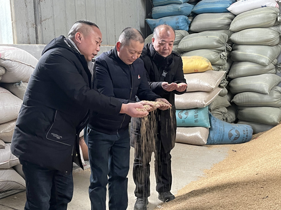 桃江種糧大戶與農(nóng)村農(nóng)業(yè)局技術人員正在查看春耕種子情況。受訪單位供圖