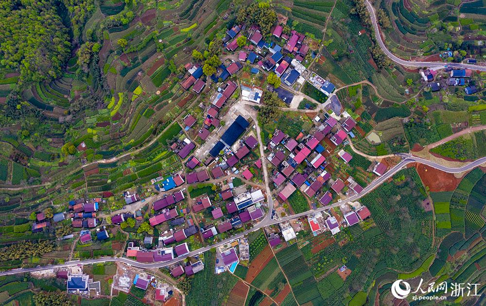 4月1日，紹興市新昌縣東茗鄉(xiāng)下巖貝村風(fēng)光秀麗，茶園旖旎。人民網(wǎng) 章勇濤攝